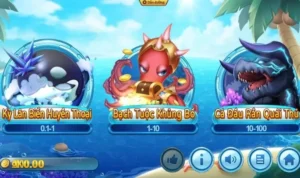Bắn Cá Vua Hải Tặc tại K9WIN
