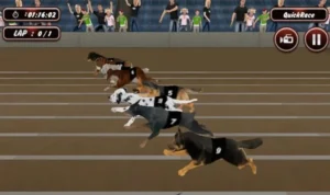 Đua Chó Tại K9WIN