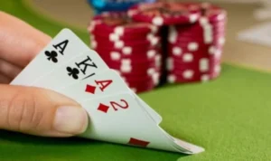Sắc Tê nhà cái K9WIN